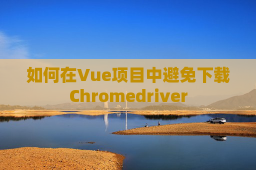 如何在Vue项目中避免下载Chromedriver