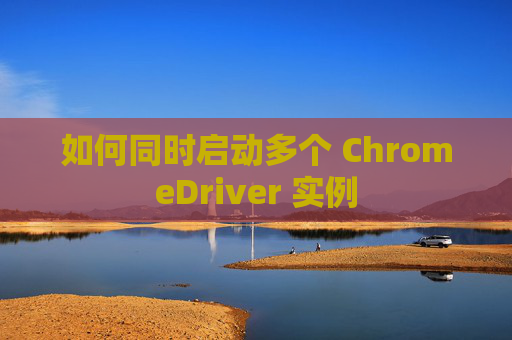 如何同时启动多个 ChromeDriver 实例