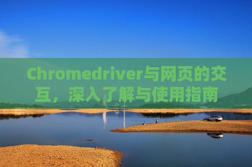 Chromedriver与网页的交互，深入了解与使用指南