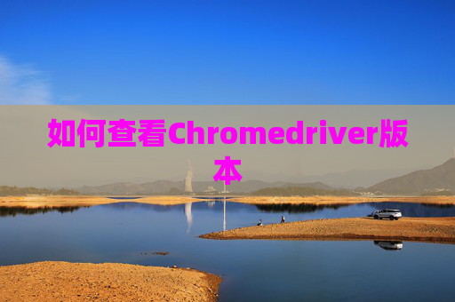 如何查看Chromedriver版本