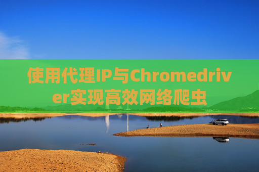 使用代理IP与Chromedriver实现高效网络爬虫