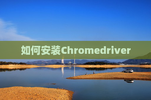 如何安装Chromedriver