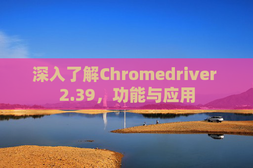 深入了解Chromedriver 2.39，功能与应用