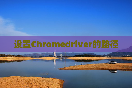 设置Chromedriver的路径